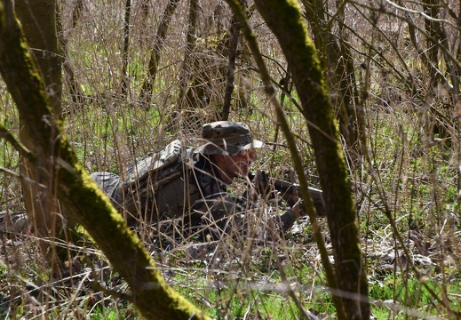 30265034 1682397551873286 4892350178327003136 o