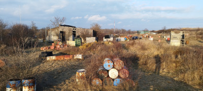 IMG 20260208 160306