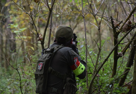 463435680 872681948306660 4095144677328439243 n