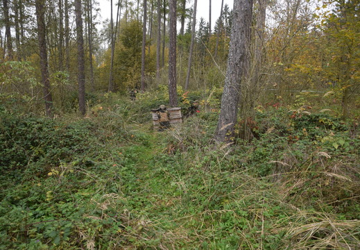 463604523 872692301638958 4139719114638275703 n