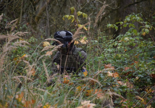 463604530 872675138307341 5695438696281249811 n