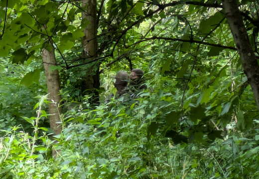 WhatsApp Image 2025-06-28 at 12.55.05 9f3f1fec